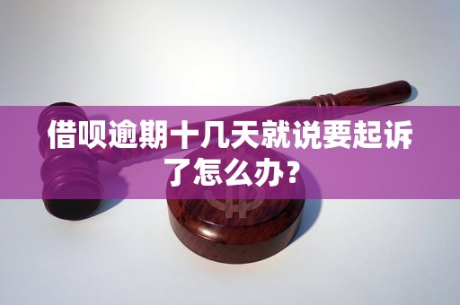 借呗逾期十几天就说要起诉了怎么办？