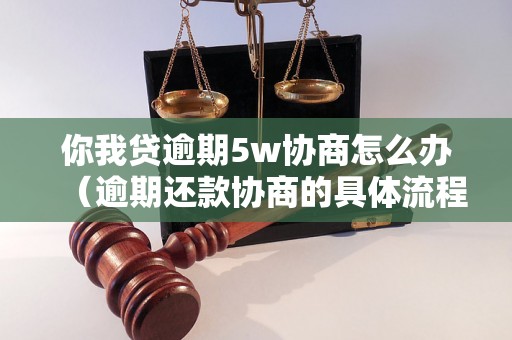 你我贷逾期5w协商怎么办（逾期还款协商的具体流程）