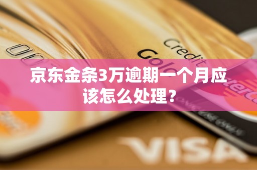 京东金条3万逾期一个月应该怎么处理？