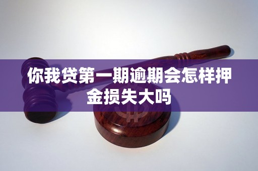 你我贷第一期逾期会怎样押金损失大吗