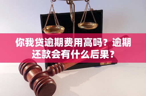 你我贷逾期费用高吗？逾期还款会有什么后果？