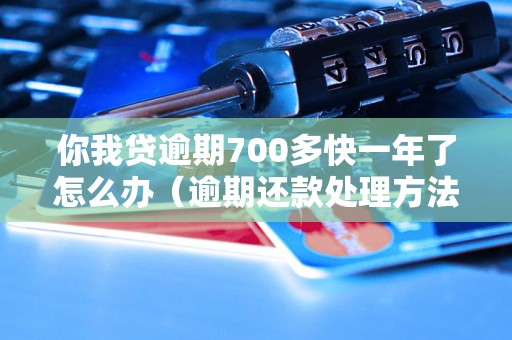 你我贷逾期700多快一年了怎么办（逾期还款处理方法）