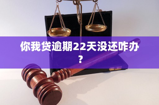 你我贷逾期22天没还咋办？