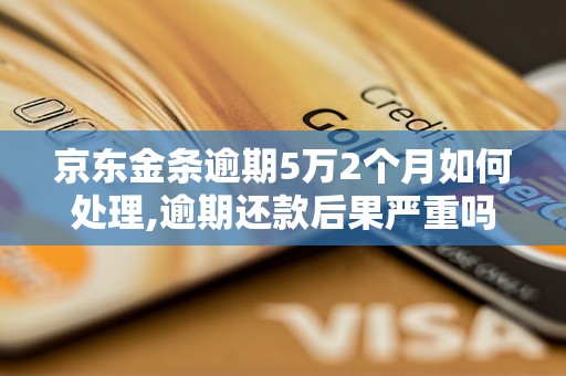 京东金条逾期5万2个月如何处理,逾期还款后果严重吗