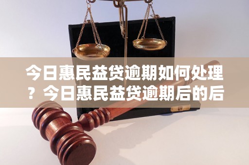 今日惠民益贷逾期如何处理？今日惠民益贷逾期后的后果有哪些？