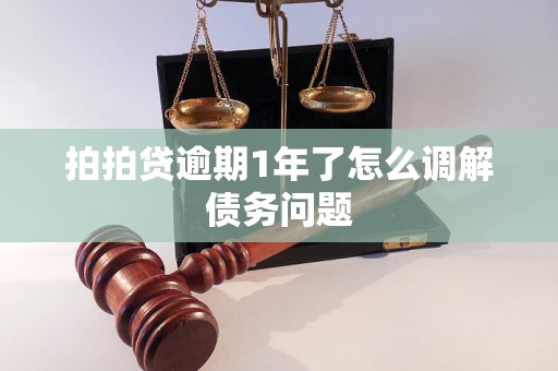 拍拍贷逾期1年了怎么调解债务问题