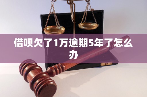 借呗欠了1万逾期5年了怎么办