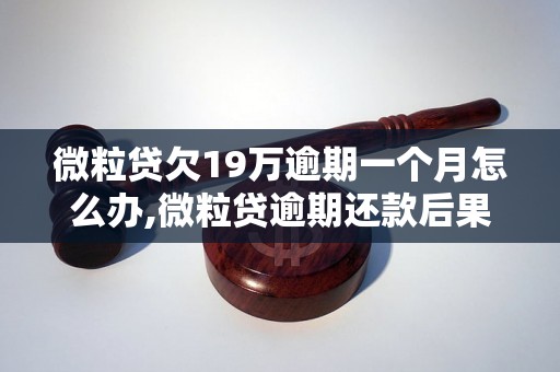 微粒贷欠19万逾期一个月怎么办,微粒贷逾期还款后果及处理方法