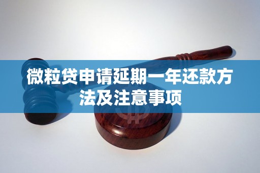 微粒贷申请延期一年还款方法及注意事项