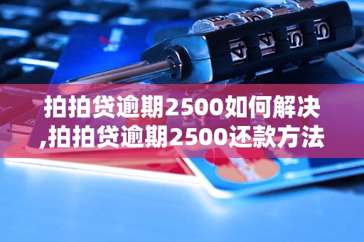 拍拍贷逾期2500如何解决,拍拍贷逾期2500还款方法详解