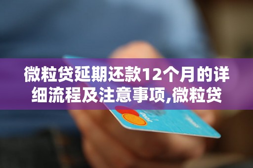 微粒贷延期还款12个月的详细流程及注意事项,微粒贷延期还款12个月的申请方法