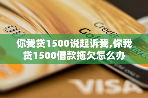 你我贷1500说起诉我,你我贷1500借款拖欠怎么办