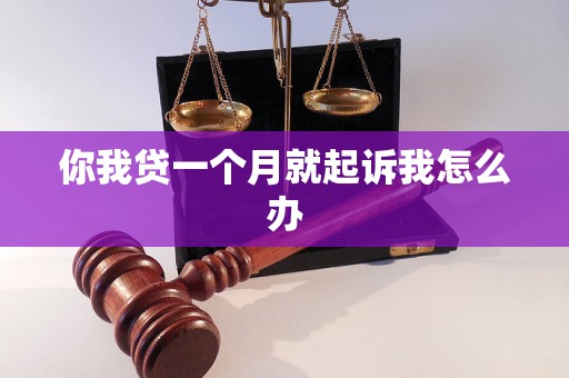 你我贷一个月就起诉我怎么办