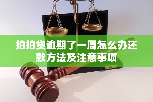 拍拍贷逾期了一周怎么办还款方法及注意事项