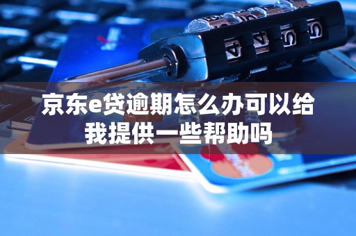 京东e贷逾期怎么办可以给我提供一些帮助吗