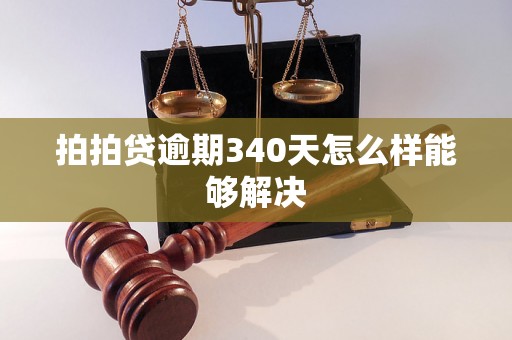 拍拍贷逾期340天怎么样能够解决