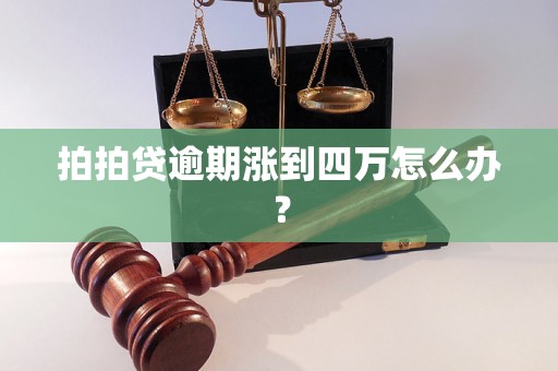 拍拍贷逾期涨到四万怎么办？