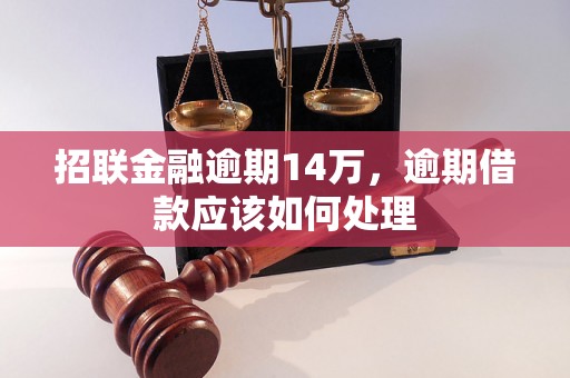 招联金融逾期14万，逾期借款应该如何处理