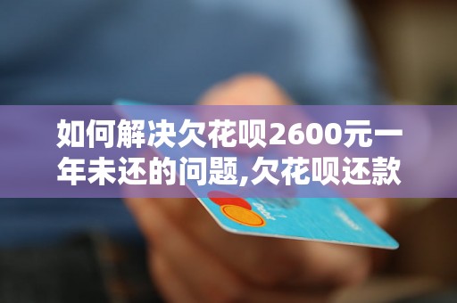 如何解决欠花呗2600元一年未还的问题,欠花呗还款攻略