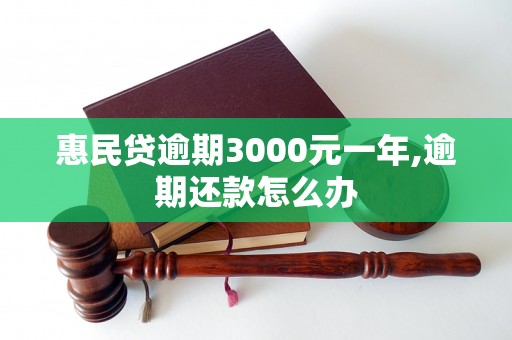 惠民贷逾期3000元一年,逾期还款怎么办