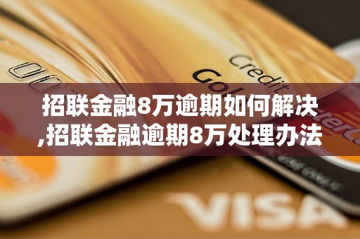 招联金融8万逾期如何解决,招联金融逾期8万处理办法