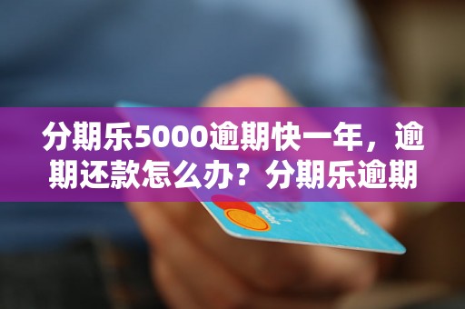 分期乐5000逾期快一年，逾期还款怎么办？分期乐逾期一年有什么后果？