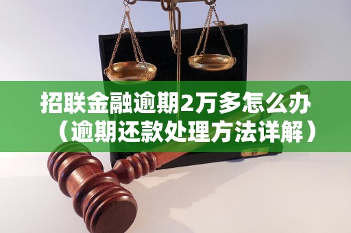 招联金融逾期2万多怎么办（逾期还款处理方法详解）