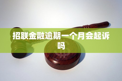 招联金融逾期一个月会起诉吗