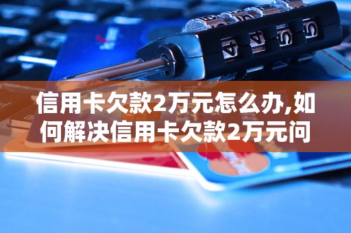 信用卡欠款2万元怎么办,如何解决信用卡欠款2万元问题