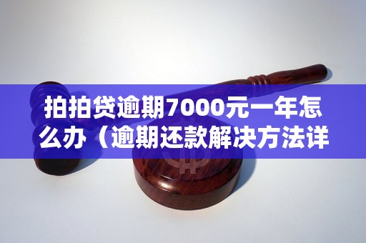 拍拍贷逾期7000元一年怎么办（逾期还款解决方法详解）