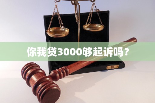 你我贷3000够起诉吗？