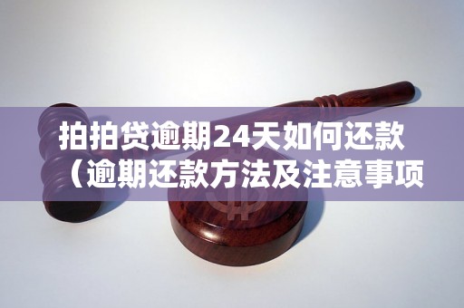 拍拍贷逾期24天如何还款（逾期还款方法及注意事项）