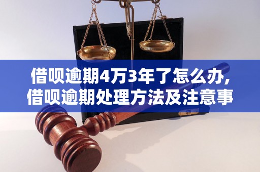 借呗逾期4万3年了怎么办,借呗逾期处理方法及注意事项