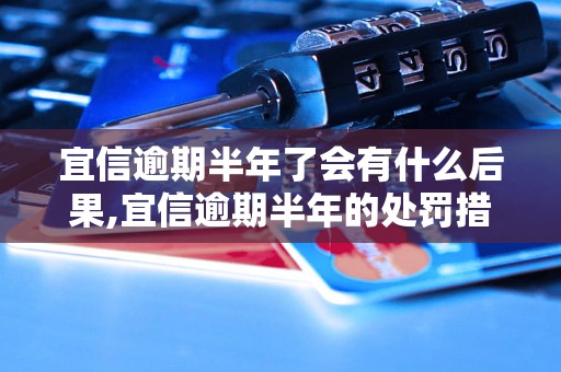 宜信逾期半年了会有什么后果,宜信逾期半年的处罚措施