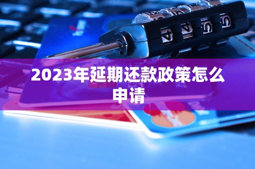 2023年延期还款政策怎么申请