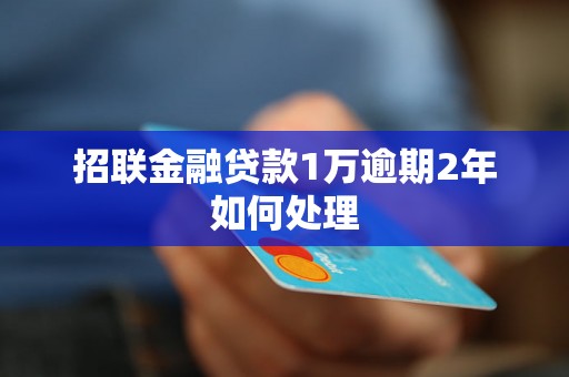 招联金融贷款1万逾期2年如何处理