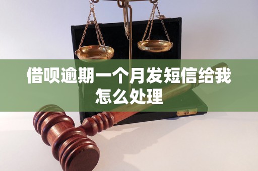 借呗逾期一个月发短信给我怎么处理