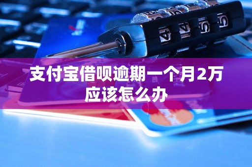 支付宝借呗逾期一个月2万应该怎么办