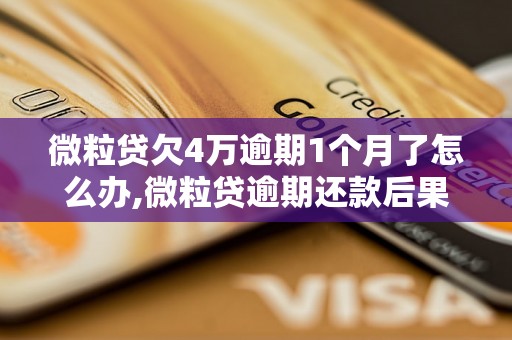 微粒贷欠4万逾期1个月了怎么办,微粒贷逾期还款后果严重吗