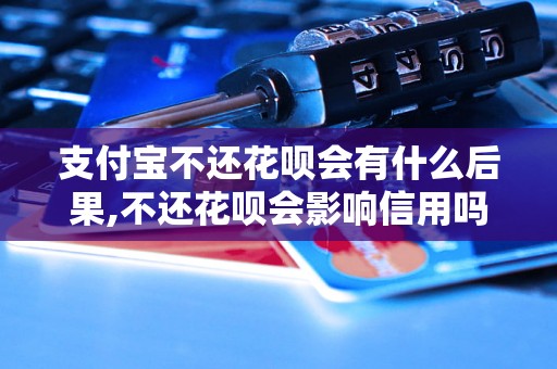 支付宝不还花呗会有什么后果,不还花呗会影响信用吗