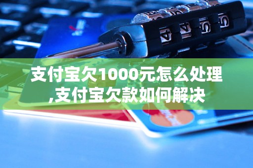 支付宝欠1000元怎么处理,支付宝欠款如何解决