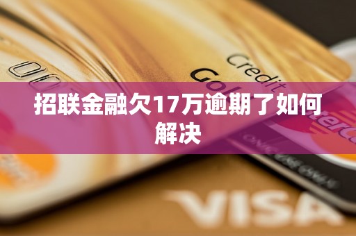 招联金融欠17万逾期了如何解决