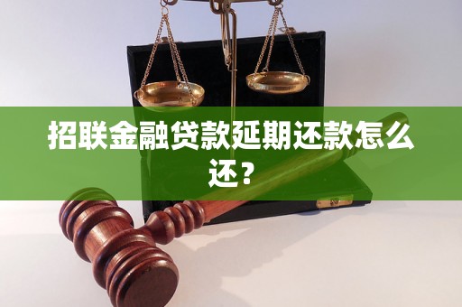 招联金融贷款延期还款怎么还？