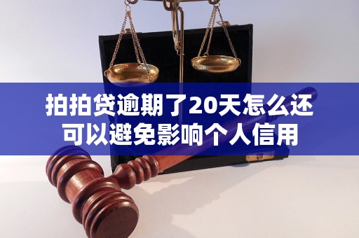 拍拍贷逾期了20天怎么还可以避免影响个人信用