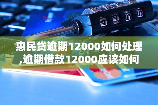 惠民贷逾期12000如何处理,逾期借款12000应该如何解决