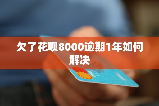 欠了花呗8000逾期1年如何解决