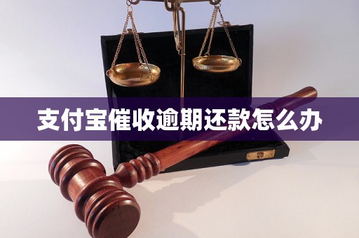 支付宝催收逾期还款怎么办