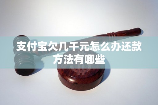 支付宝欠几千元怎么办还款方法有哪些