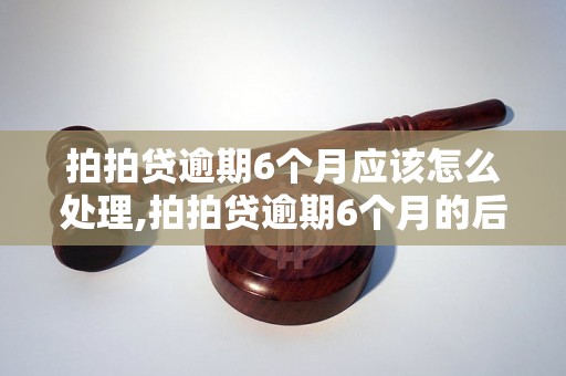 拍拍贷逾期6个月应该怎么处理,拍拍贷逾期6个月的后果及解决方法