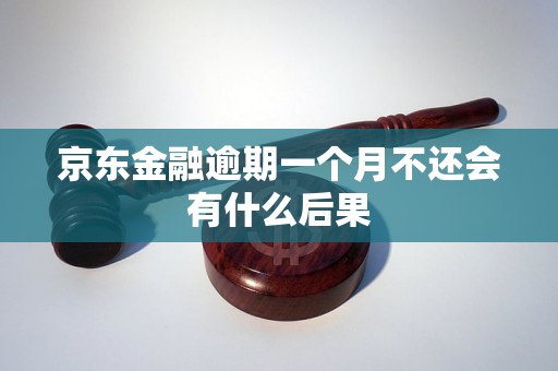 京东金融逾期一个月不还会有什么后果